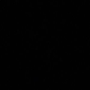 Meet your Posher, Ella